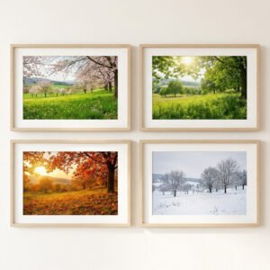 Seasonal Collection Set